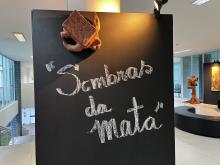 Exposição Sombras da Mata no Compaz Ariano Suassuna